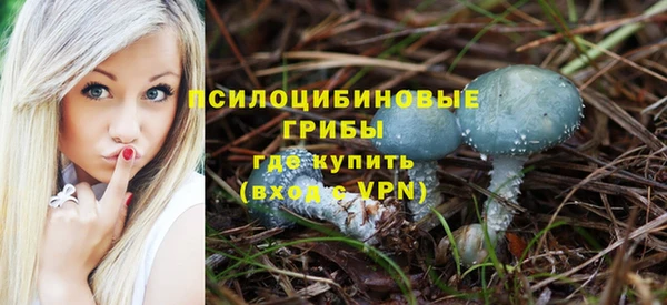кристаллы Липки
