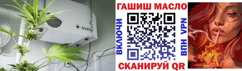 ТГК вейп  Купить  Новоалтайск 